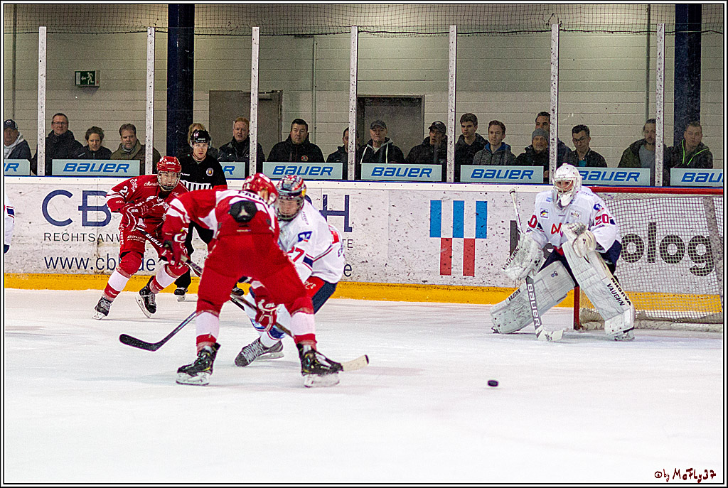 DNL-Playofffinale; Junghaie Koeln - Jungadler Mannheim, 20.03.2019